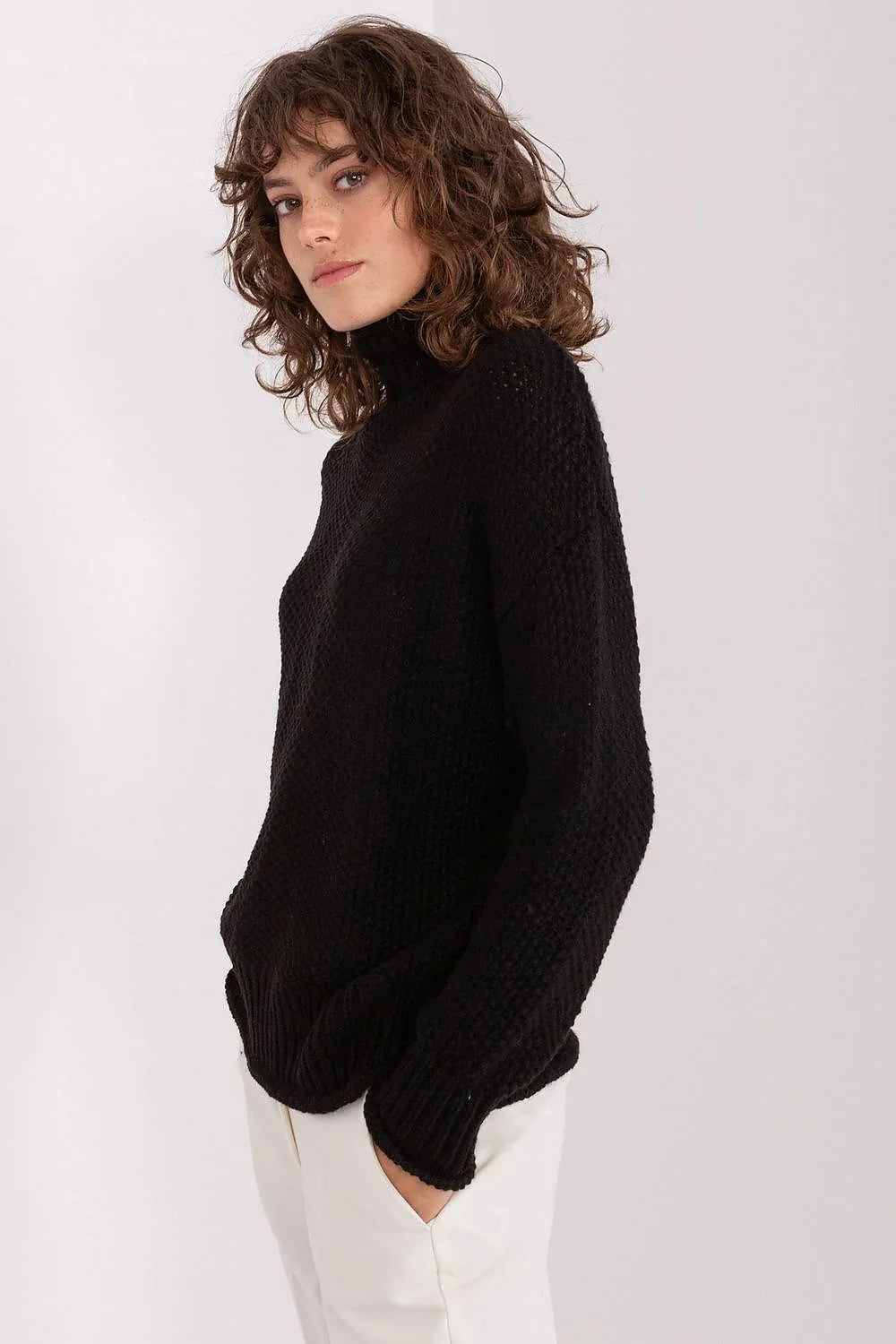 Women Classic Solid Turtleneck Sweater