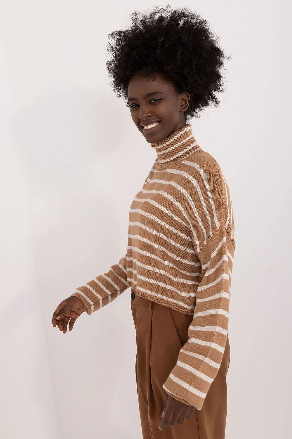 Women Striped Cropped Turtleneck Sweater