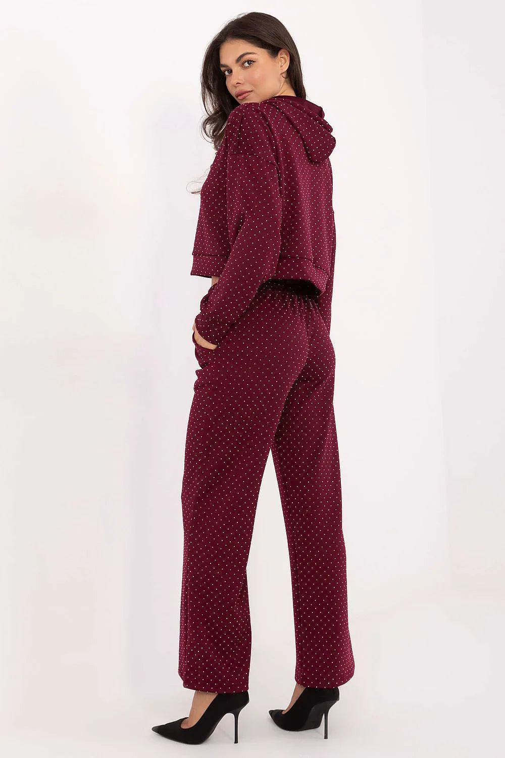 Women’s Elegant Hoodie and Wide Leg Pants Set