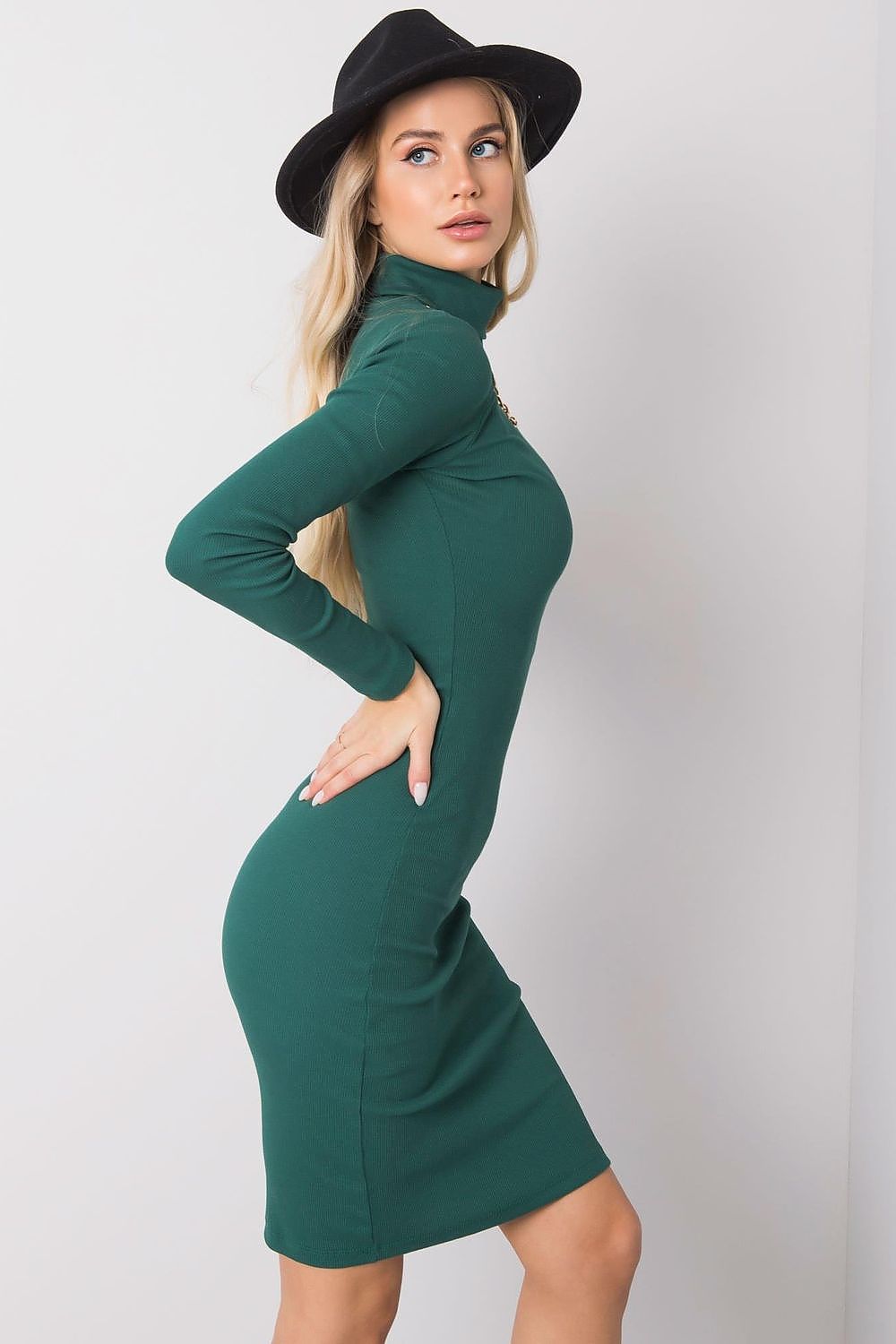 Women's Knee-Length Day Dress – Slim With Long Sleeves