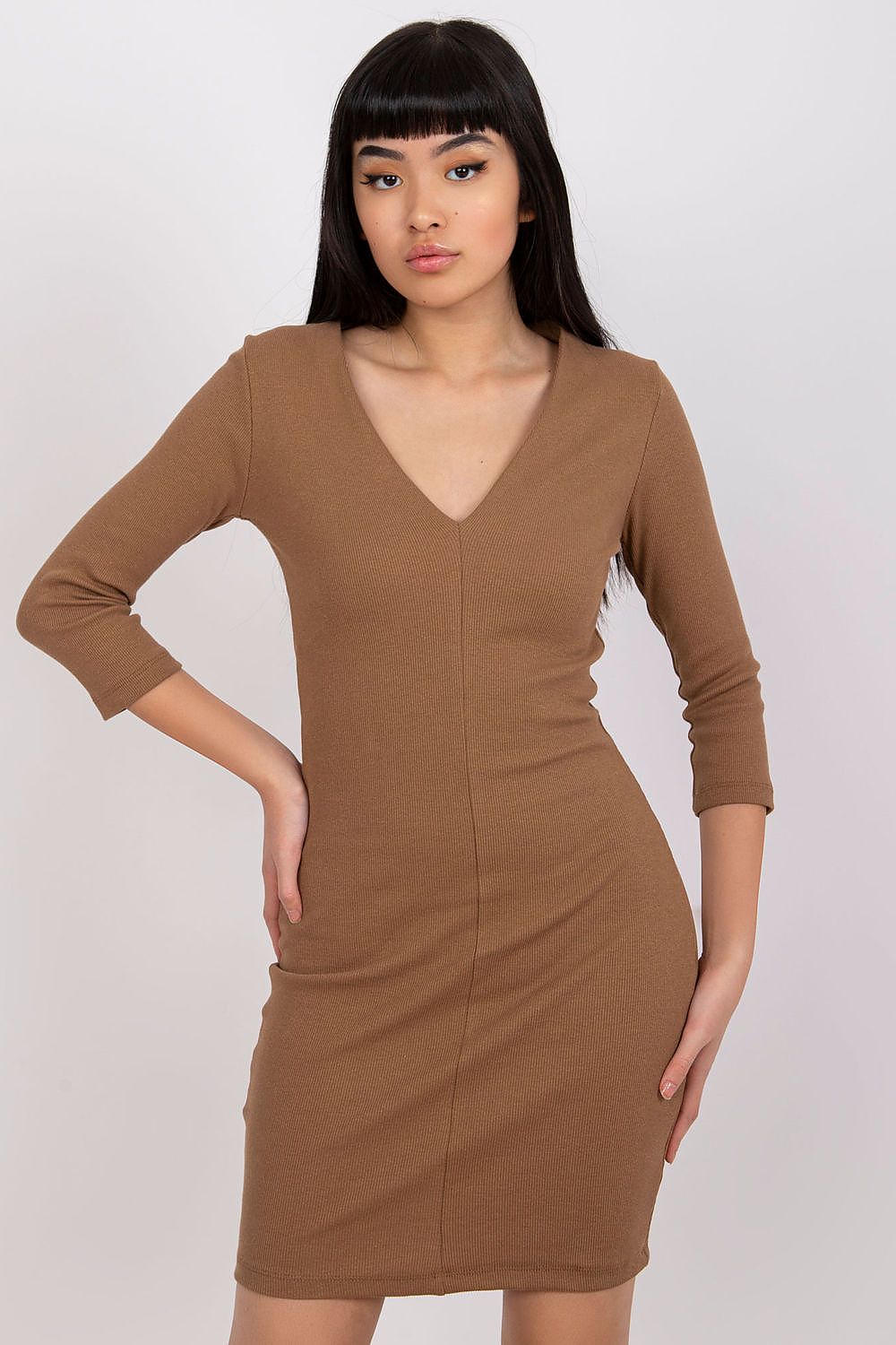 Women's Knee-Length Day Dress – Slim With Long Sleeves