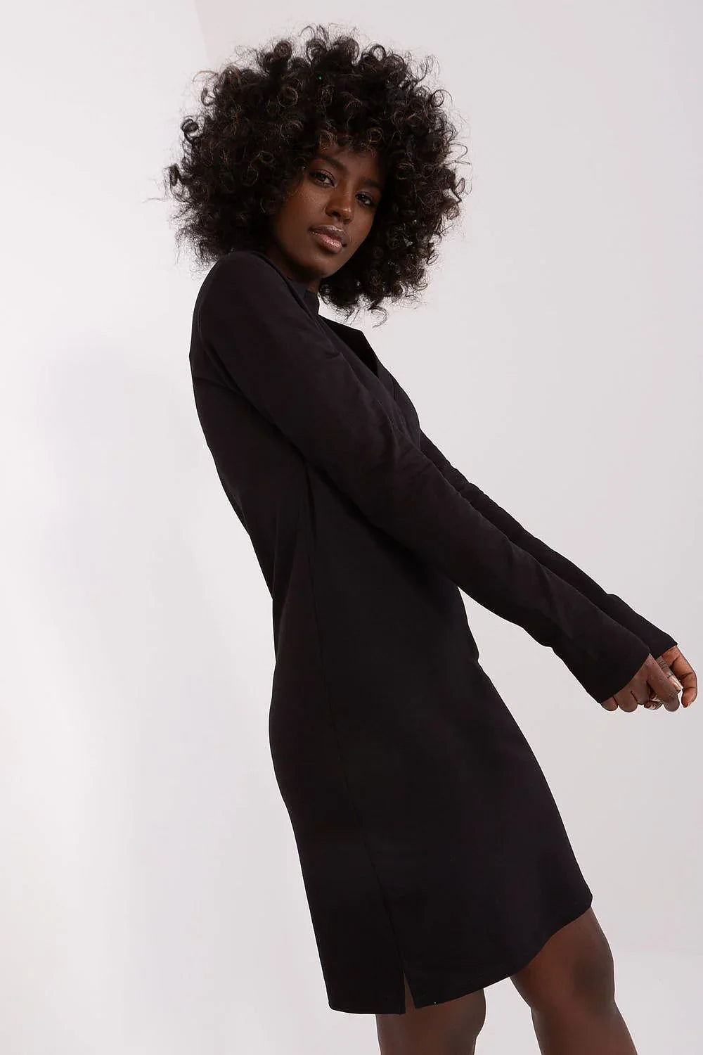 Women's Knee-Length Day Dress – Tailored With Long Sleeves