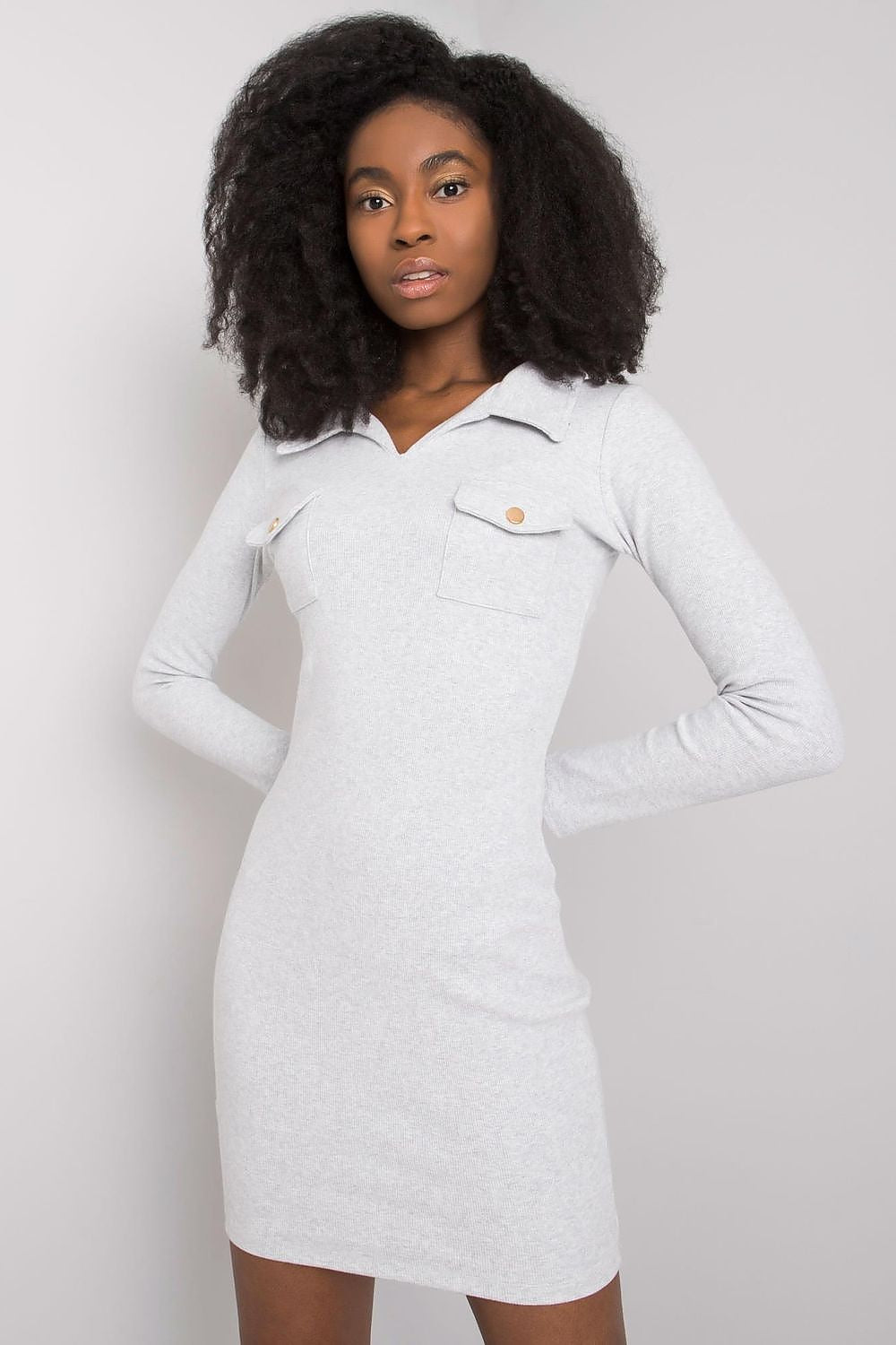 Women's Mini Day Dress – Slim With Long Sleeves
