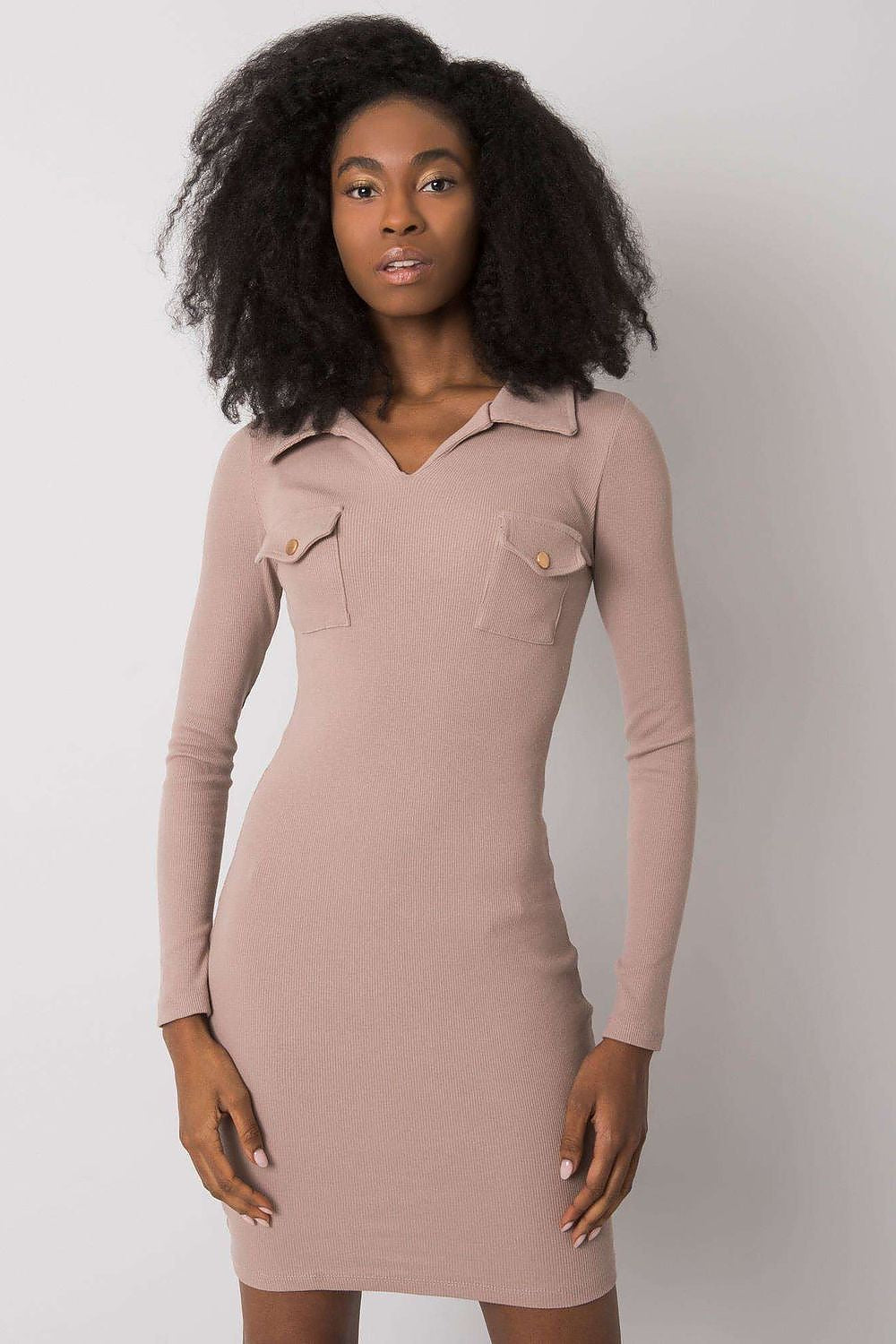 Women's Mini Day Dress – Slim With Long Sleeves
