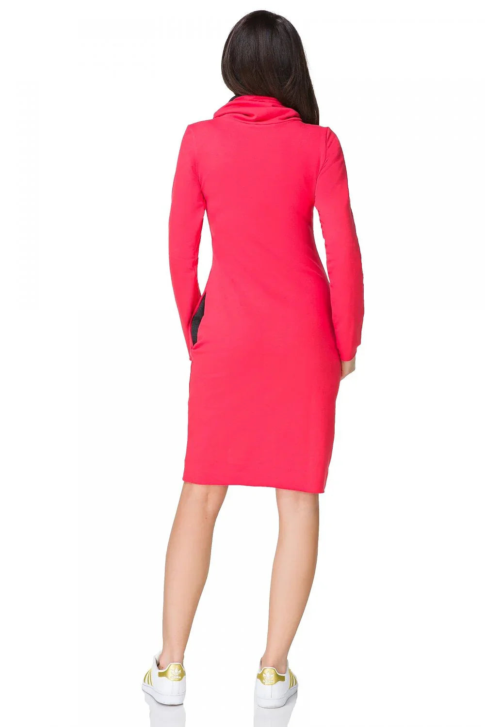 Casual Turtleneck Long Sleeves Day Dress