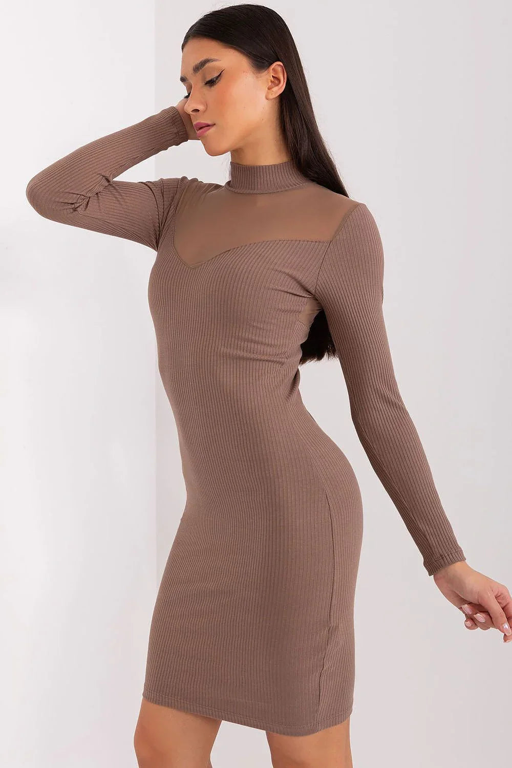 Elegant Crew Neck Long Sleeves Day Dress