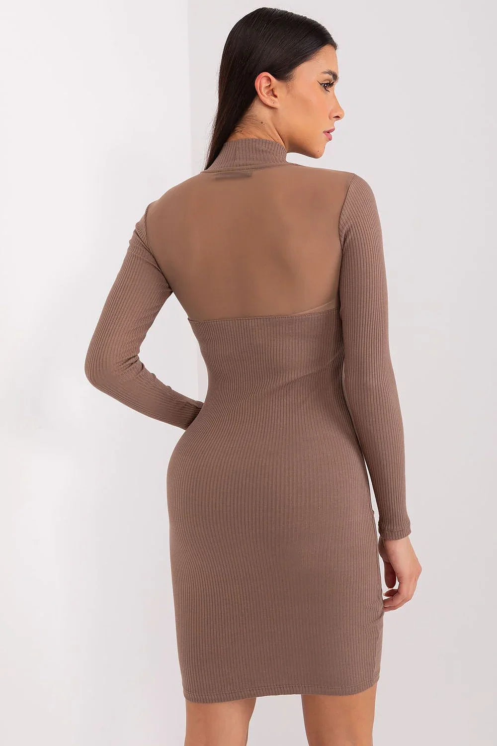 Elegant Crew Neck Long Sleeves Day Dress