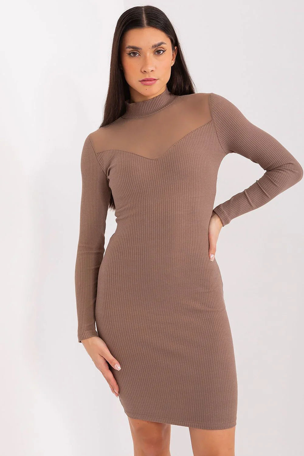 Elegant Crew Neck Long Sleeves Day Dress