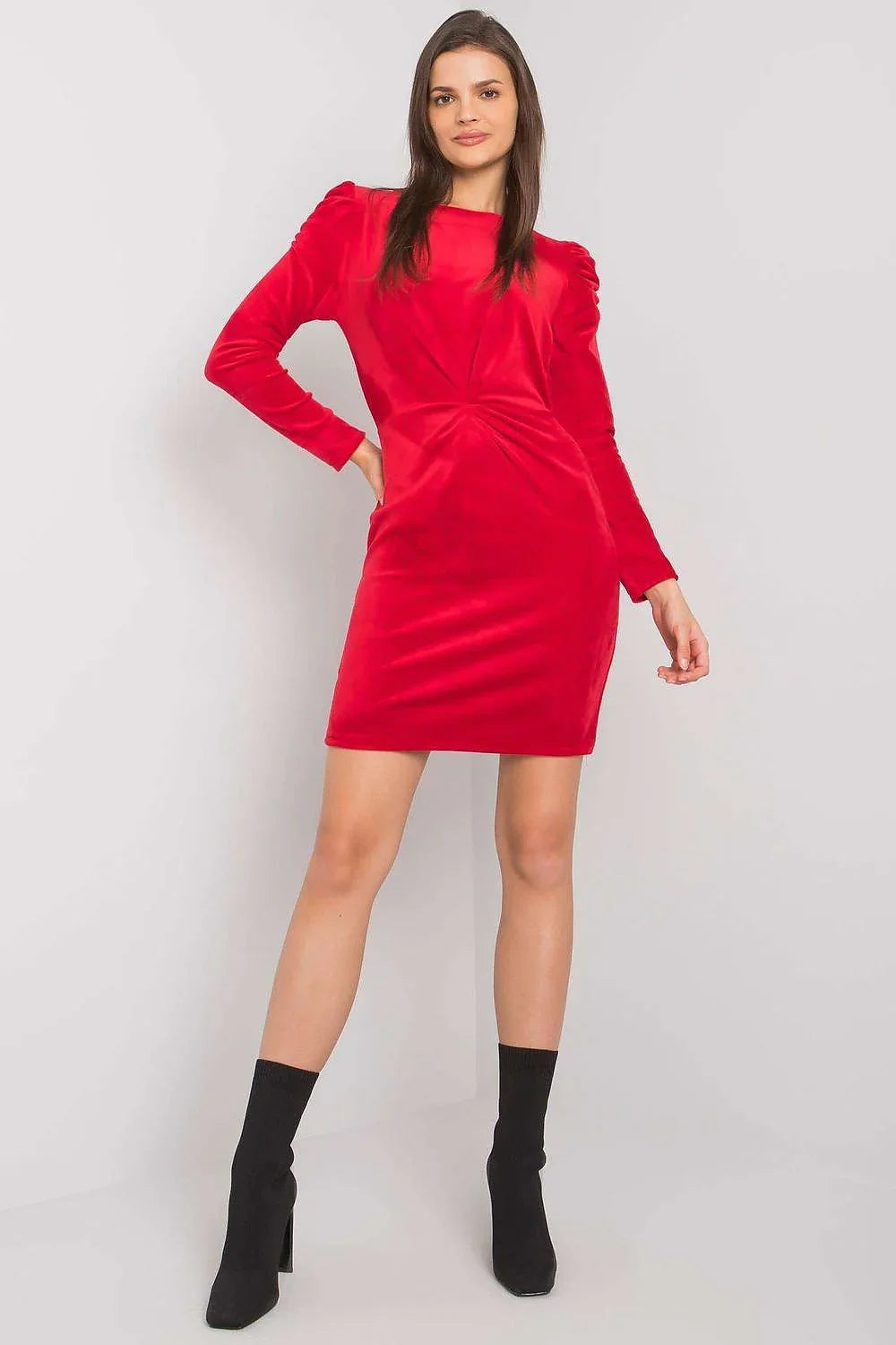 Elegant Crew Neck Long Sleeves Day Dress